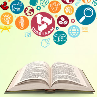 Reportes de investigación