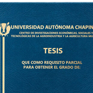 Tesis de Posgrado