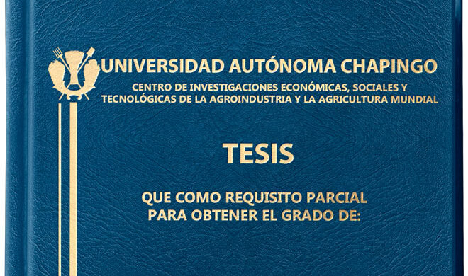 Tesis de Posgrado