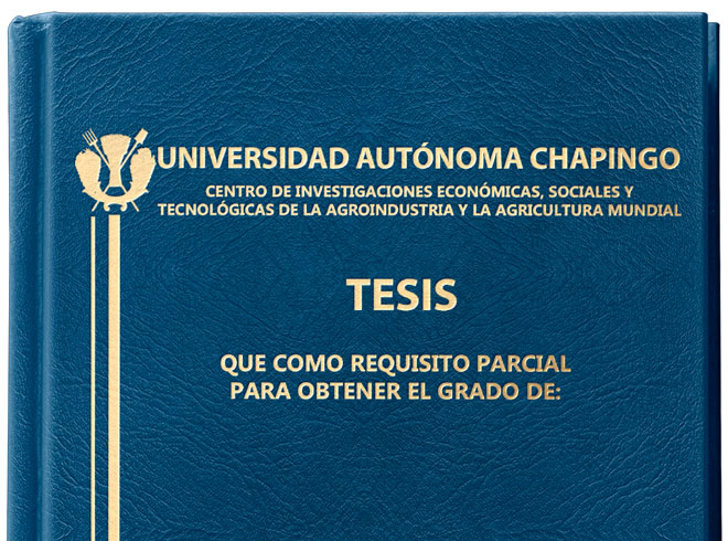 Tesis de Posgrado