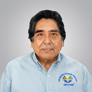 Luis LLanos Hernández