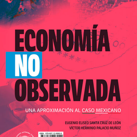 Economía no observada